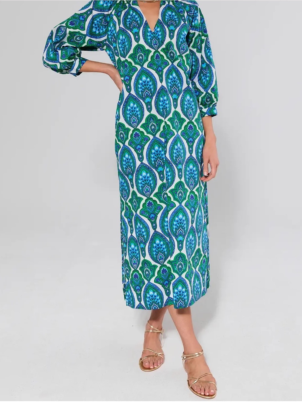 New Avara Ellie Artisan Printed Midi Dress